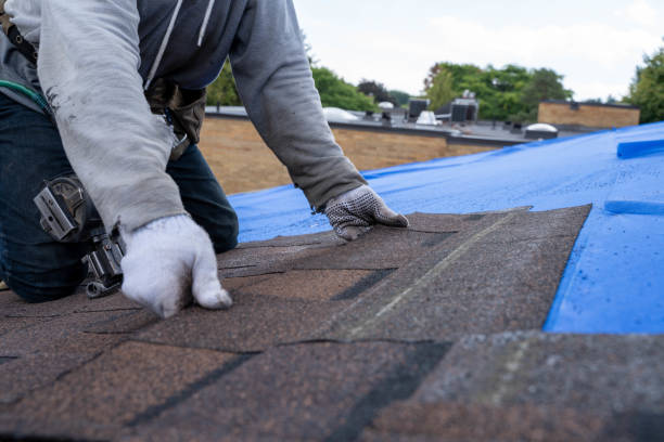 Best Storm Damage Roof Repair  in Brownsville, LA